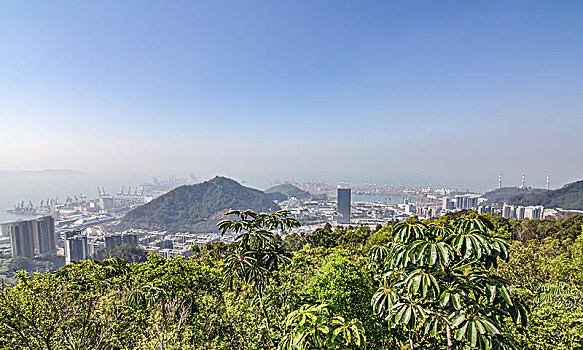 深圳南山公园