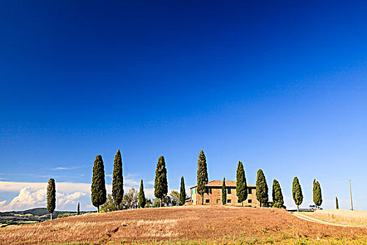 柏树,柏杉,前面的,托斯卡尼,别墅,在夏天,托斯卡纳,意大利