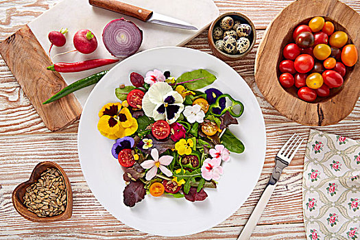 食用花卉,沙拉,盘子,成分