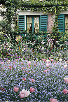 莫奈花园,法国