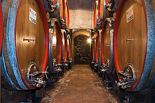 葡萄酒,桶,地窖,葡萄酒厂,托斯卡纳,意大利,欧洲