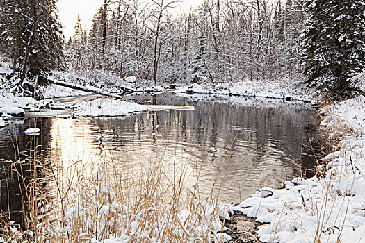 水塘,冬天,桑德贝,安大略省,加拿大