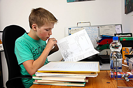 男孩,12岁,家庭作业,房间,学习,学校