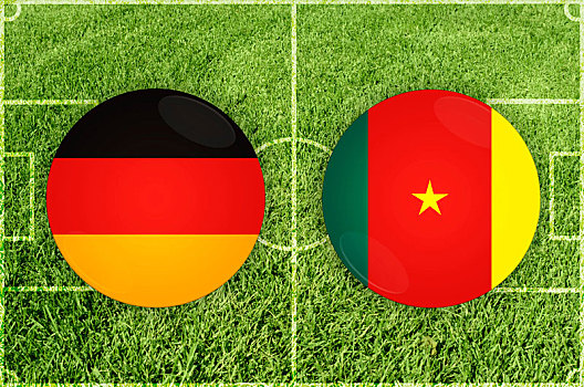 德国,喀麦隆,足球赛