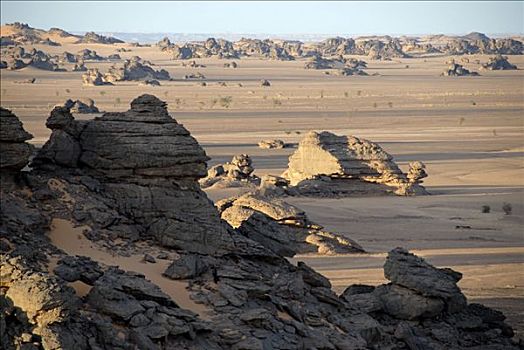 怪诞,石头,沙漠,利比亚