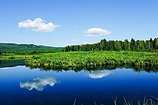 沼泽,湖水,东北,大兴安岭