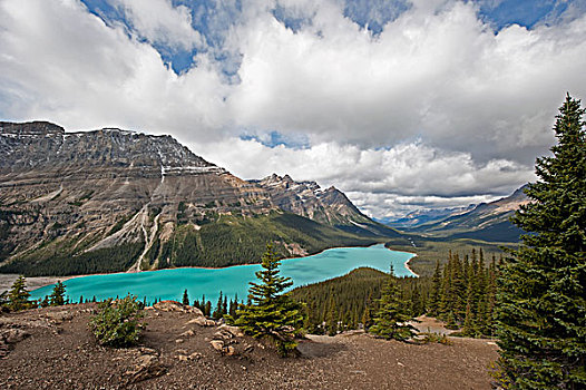 青绿色,高山湖,加拿大,落基山脉,艾伯塔省