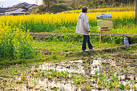 写生,绘画,田园,春色,油菜花,女孩