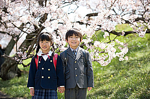 樱花,小学,男孩,女孩,书包