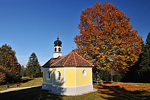 小教堂,玛丽亚,靠近,奥波拜延,巴伐利亚,德国