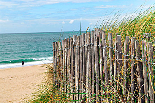 海洋,沙滩,木篱