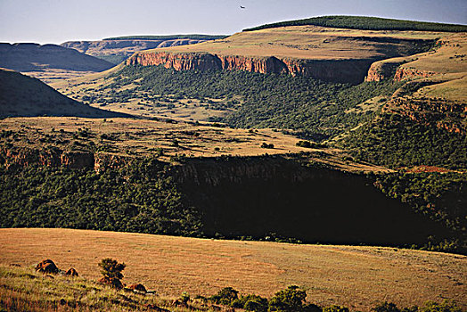 南非,德拉肯斯堡,风景,大幅,尺寸