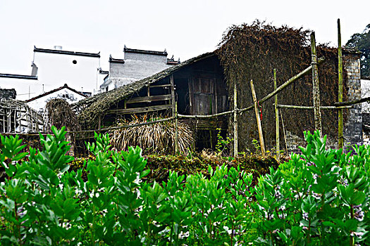 思溪延村民居建筑