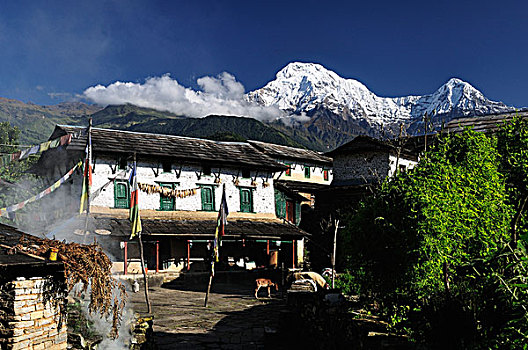 乡村,安娜普纳,保护区,尼泊尔