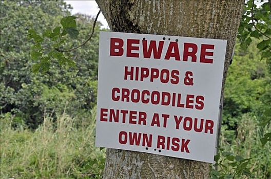 危险,标识,河马,鳄鱼,圣露西亚,湿地,公园,南非