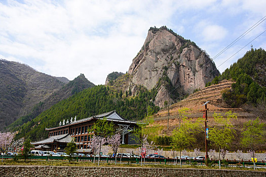 九龙山春日盛景