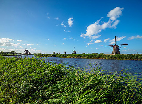 风车,小孩堤防风车村,世界遗产,荷兰南部,荷兰,欧洲