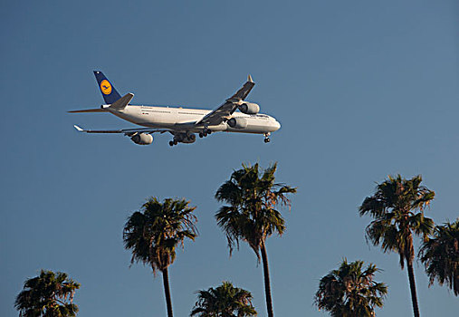 汉莎航空公司,喷气客机,靠近,降落,国际,机场,洛杉矶,加利福尼亚,美国