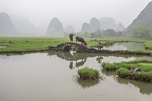 烟雨桂北农家忙