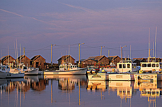 日落,港口,爱德华王子岛,加拿大
