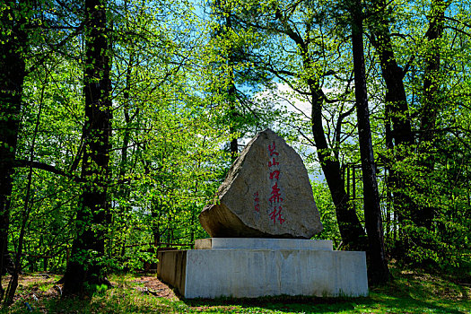 镜泊湖火山口国家森林公园