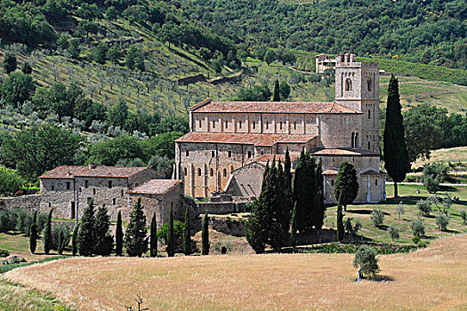 教堂,靠近,蒙大奇诺,托斯卡纳,意大利,欧洲