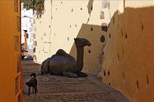 青铜,骆驼,大卡纳利岛,西班牙