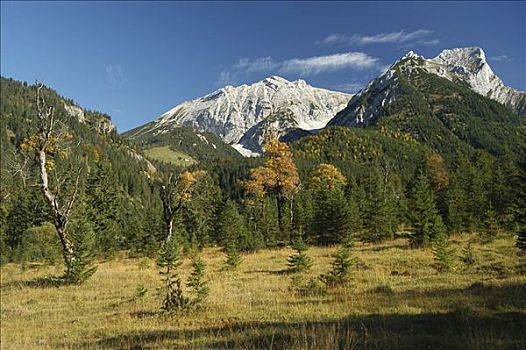 秋天风景,山脉,提洛尔,奥地利