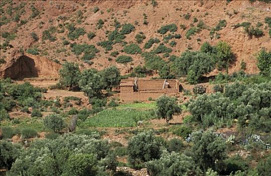 摩洛哥,山谷,风景