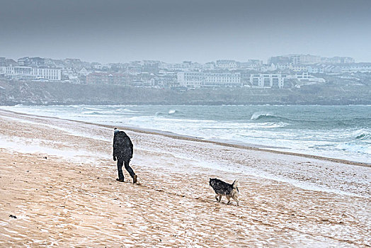 雪,落下,一个,男人,走,狗,海滩,纽基,康沃尔