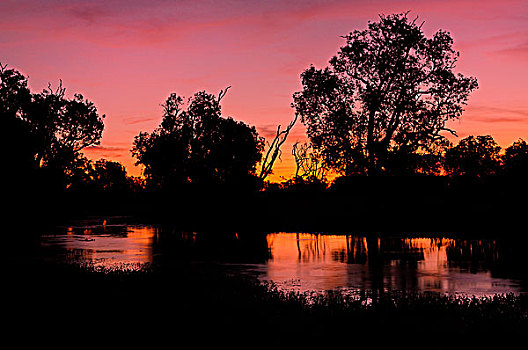 日落,南,鳄鱼,河,卡卡杜国家公园,北领地州,澳大利亚