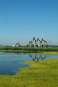 大庆油田,采油,景观