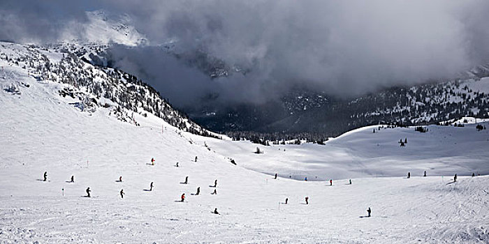 下坡,滑雪,滑雪胜地,惠斯勒,不列颠哥伦比亚省,加拿大