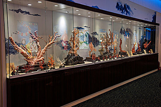 台湾台东市珊瑚展示中心