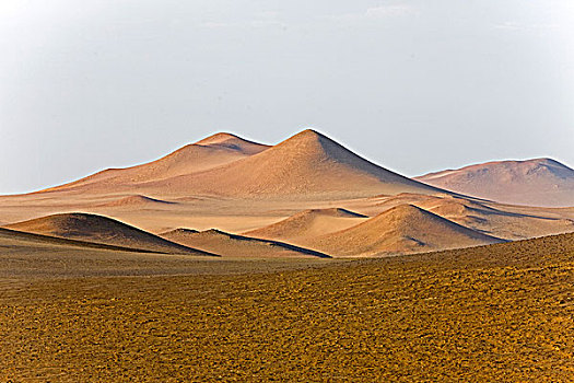 风景,帕拉加斯,国家公园,秘鲁