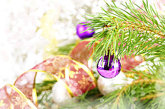 圣诞装饰,紫色,玻璃,球,上方,鲜明,背景
