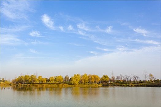 沣河梁家滩湿地公园