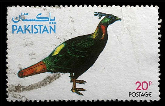 邮票,巴基斯坦,雉