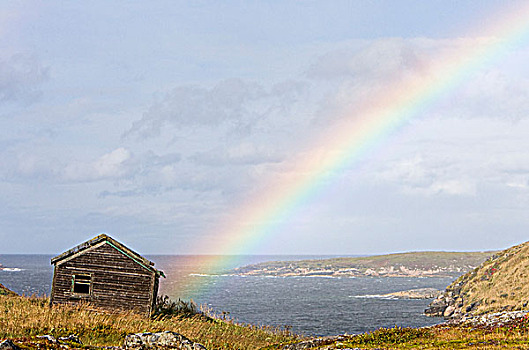 彩虹,上方,废弃,建筑,北美驯鹿,岛屿,拉布拉多犬,加拿大