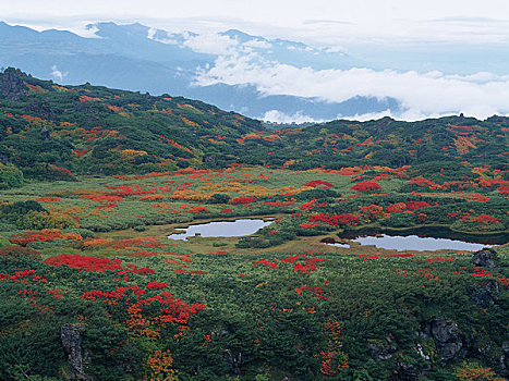 秋叶,山