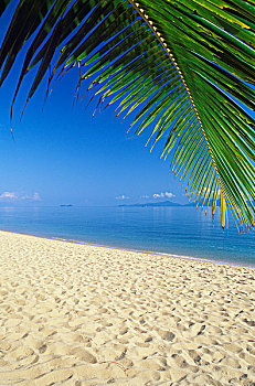棕榈海滩,海滩,苏梅岛,泰国,亚洲