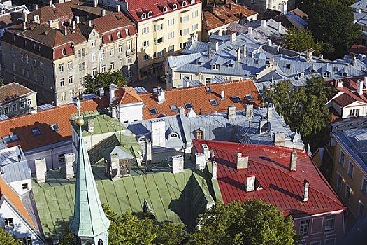 爱沙尼亚,塔林,城镇,屋顶