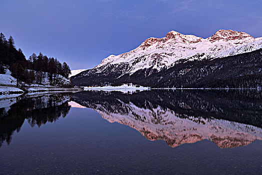 湖,看,背影,恩格达恩,瑞士,欧洲