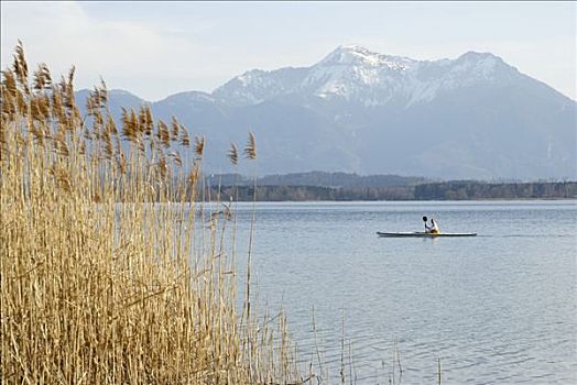 皮划艇手,基姆湖,湖,背景,上巴伐利亚,巴伐利亚,德国,欧洲