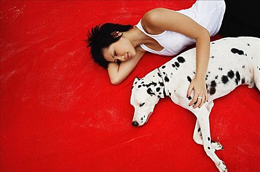 女人,躺下,斑点狗,红色,毯子