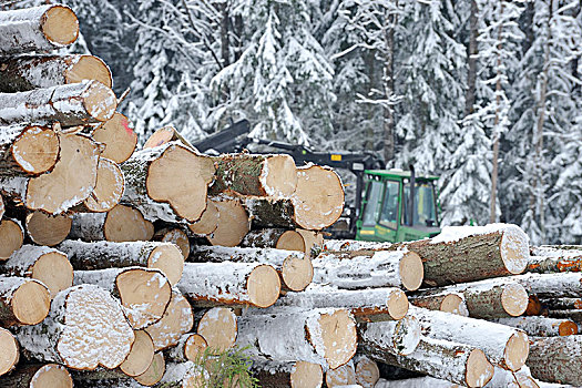 斯堪的纳维亚,瑞典,高地,一堆,原木,起重机,背景