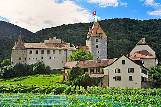 城堡,葡萄园,沃州,瑞士,欧洲