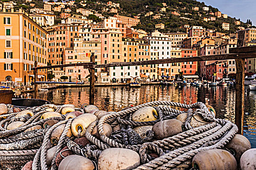 渔网,港口,卡莫利,利古里亚,意大利