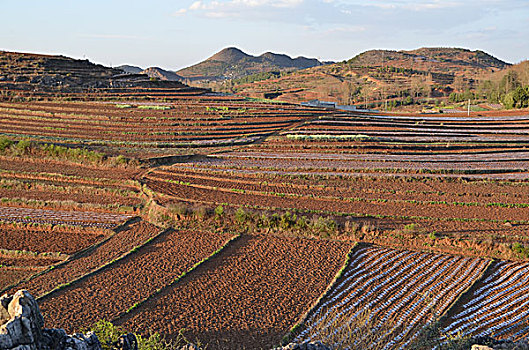 夕阳西下景美如画,夕阳,图画,田园,村庄,东亚,户外,摄影,特写镜头,天空,无人,形状,亚洲,傍晚,圆形,太阳,中国,自然,自然现象,安静,空旷,春季