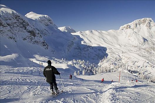 滑雪者,滑雪道,正面,山脉全景,卡林西亚,奥地利,欧洲